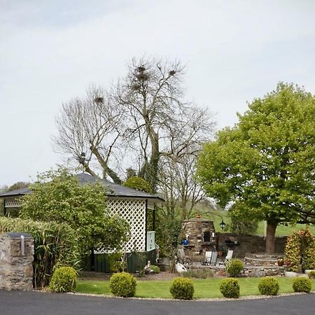 Cartron House Bed and Breakfast Ballinakill  Eksteriør billede