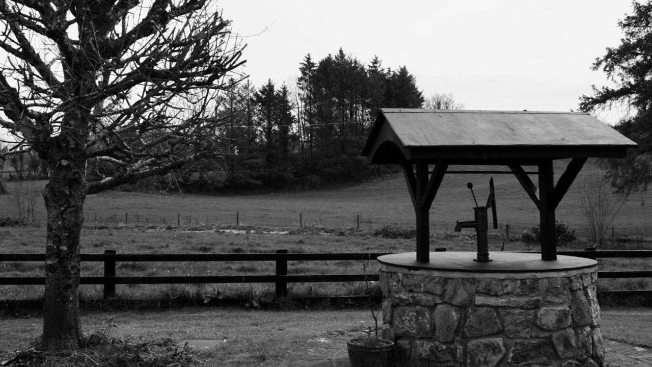 Cartron House Bed and Breakfast Ballinakill  Eksteriør billede