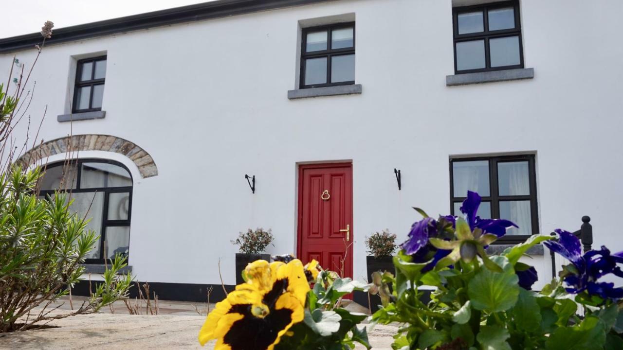 Cartron House Bed and Breakfast Ballinakill  Eksteriør billede