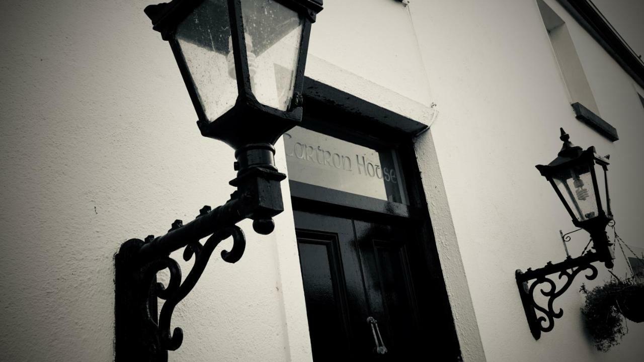 Cartron House Bed and Breakfast Ballinakill  Eksteriør billede